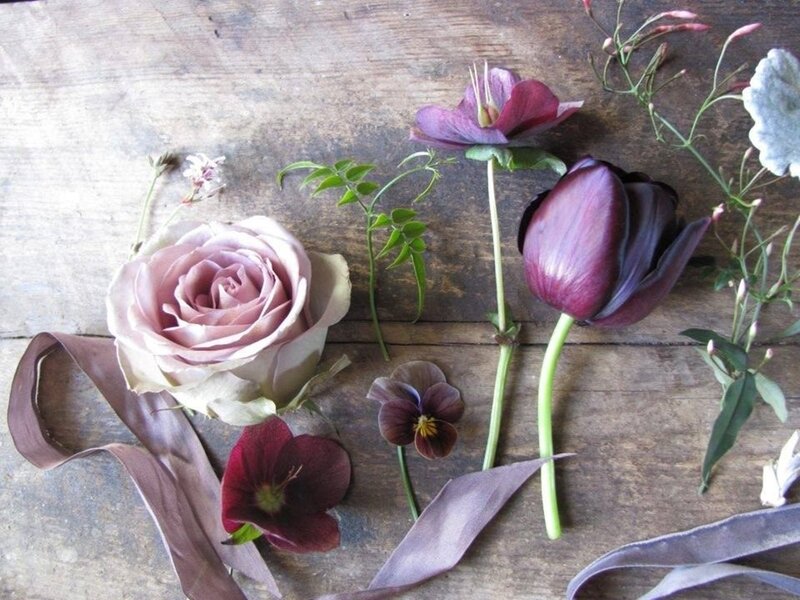 Purple and Pink Flowers — Calm, Photograph, Rose