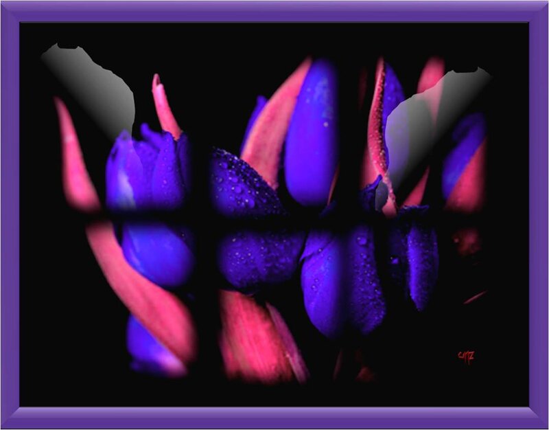 Purple and Pink Flowers — Dramatic, Digital Art
