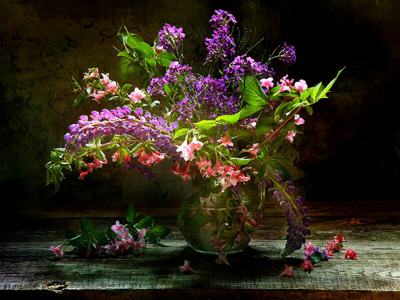Purple and Pink Flowers — Dramatic