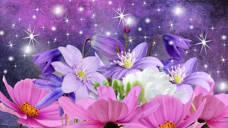 Purple and Pink Flowers — Dreamy