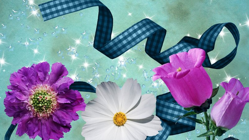 Purple and Pink Flowers — Festive