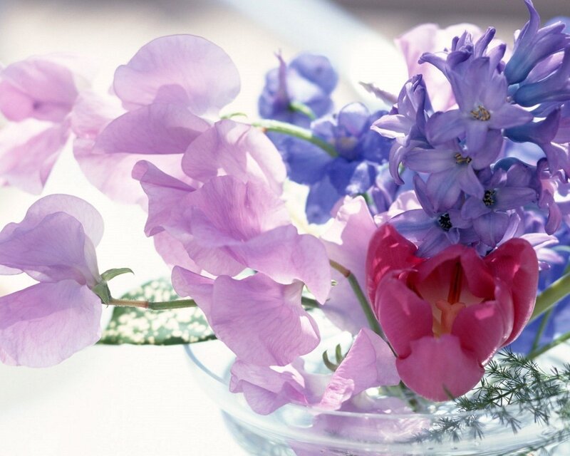 purple and pink flowers in a vase