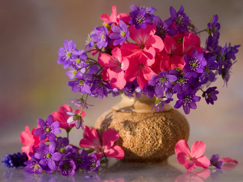 Purple and Pink Flowers — Serene, Spring, Photograph, Vase