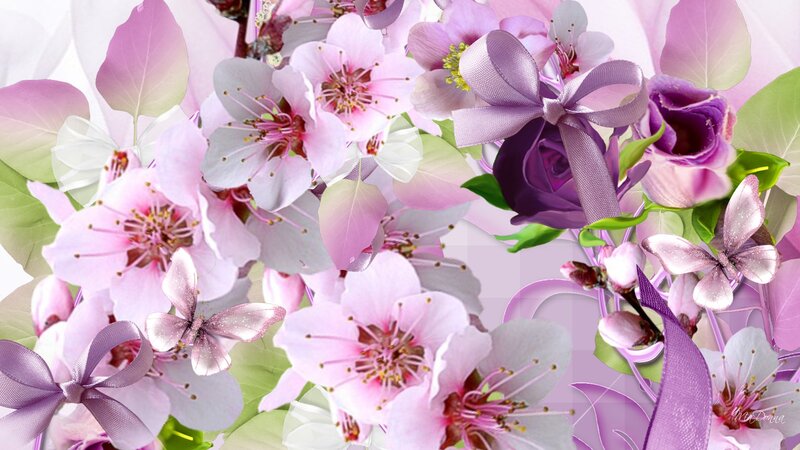 Purple and Pink Flowers — Serene, Spring