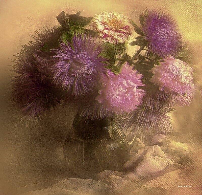 Purple and Pink Flowers — Serene