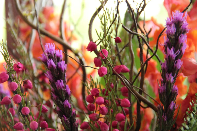 Purple and Pink Flowers — Vibrant, Spring, Photograph, Branches