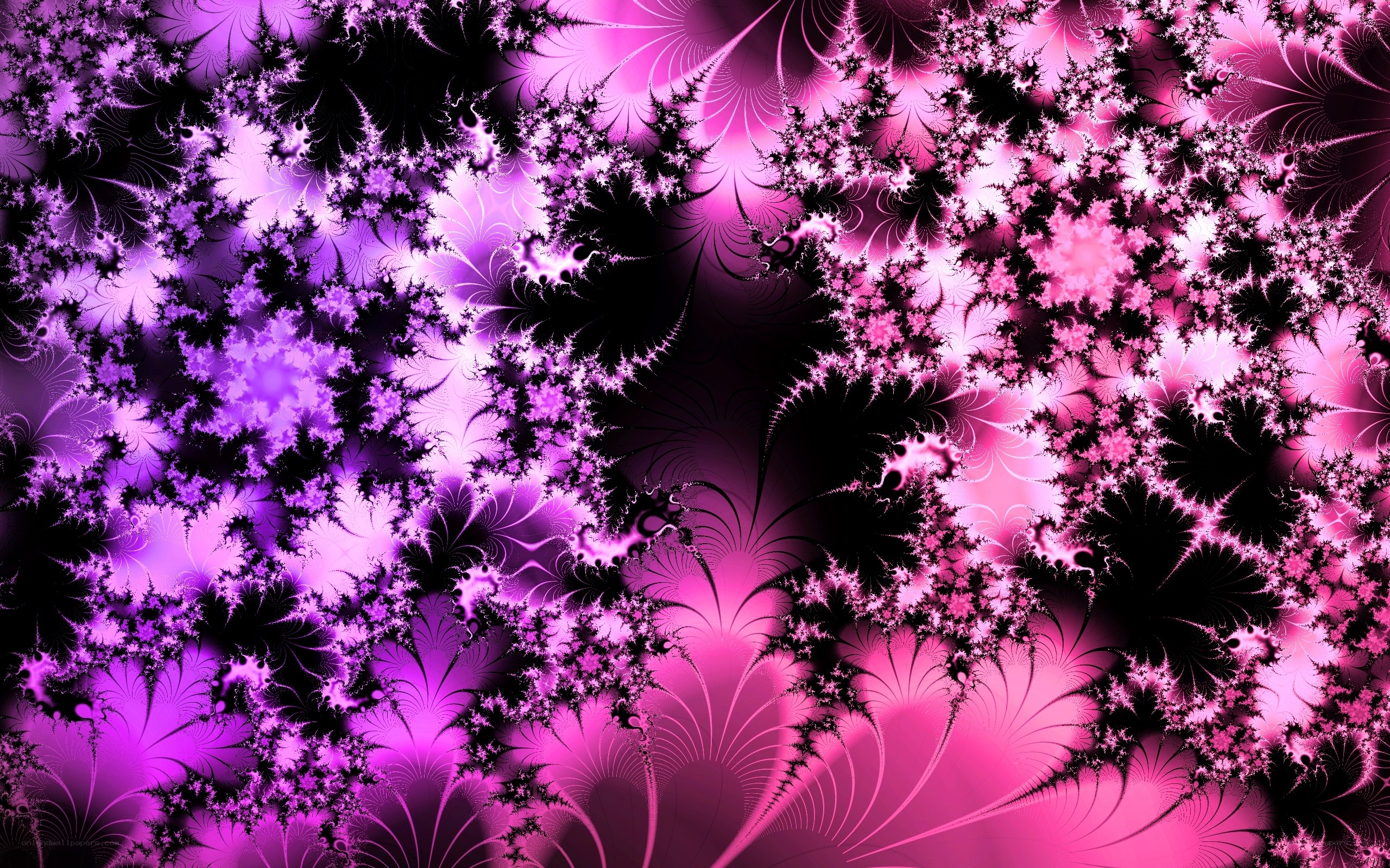 purple and pink fractal pattern