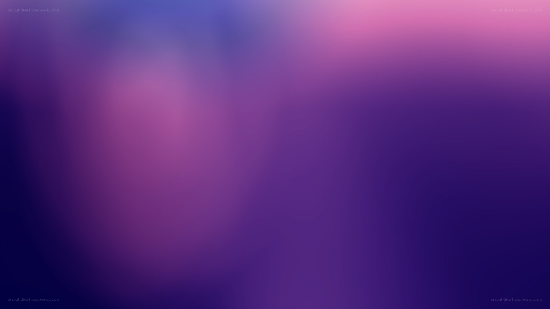 purple and pink gradient