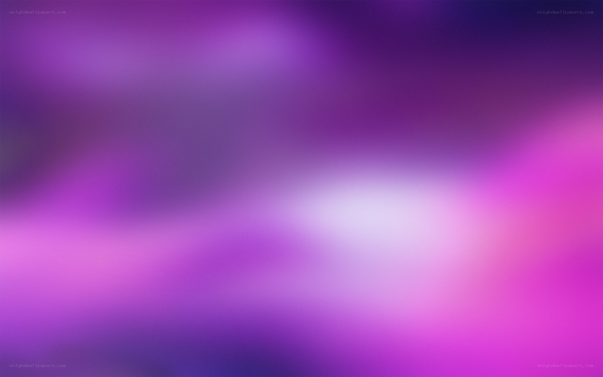 purple and pink gradient