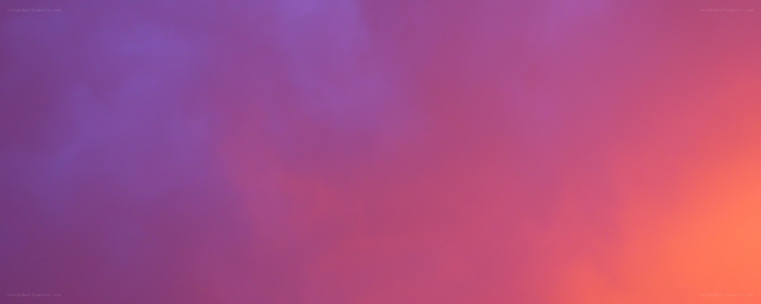 purple and pink gradient