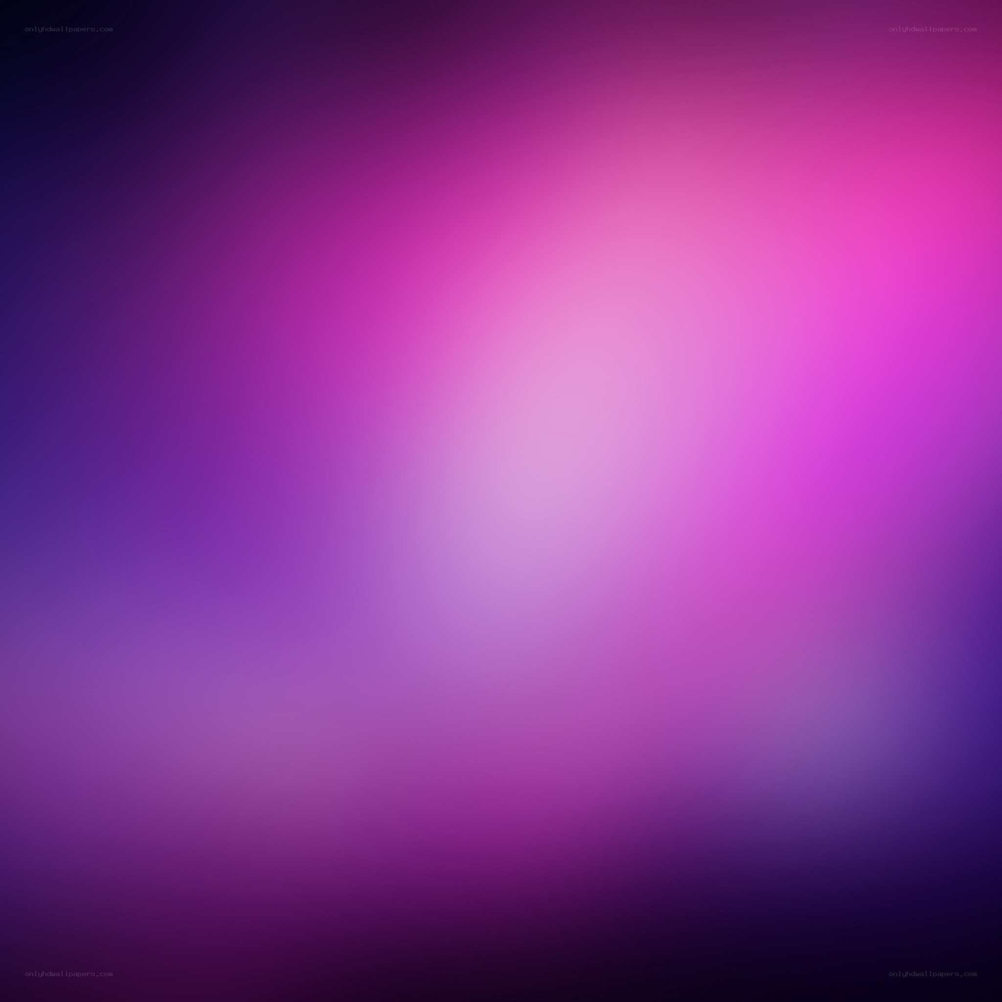 purple and pink gradient