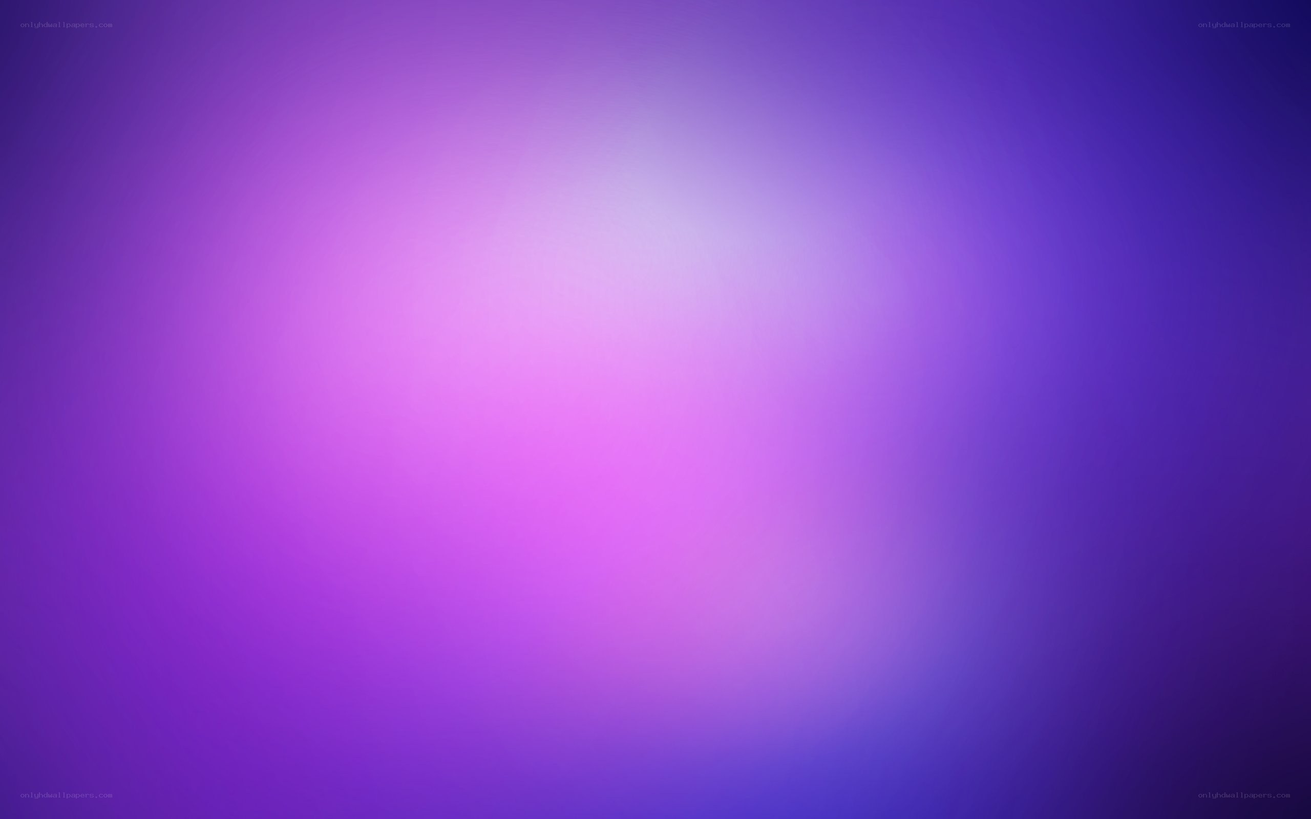 purple and pink gradient