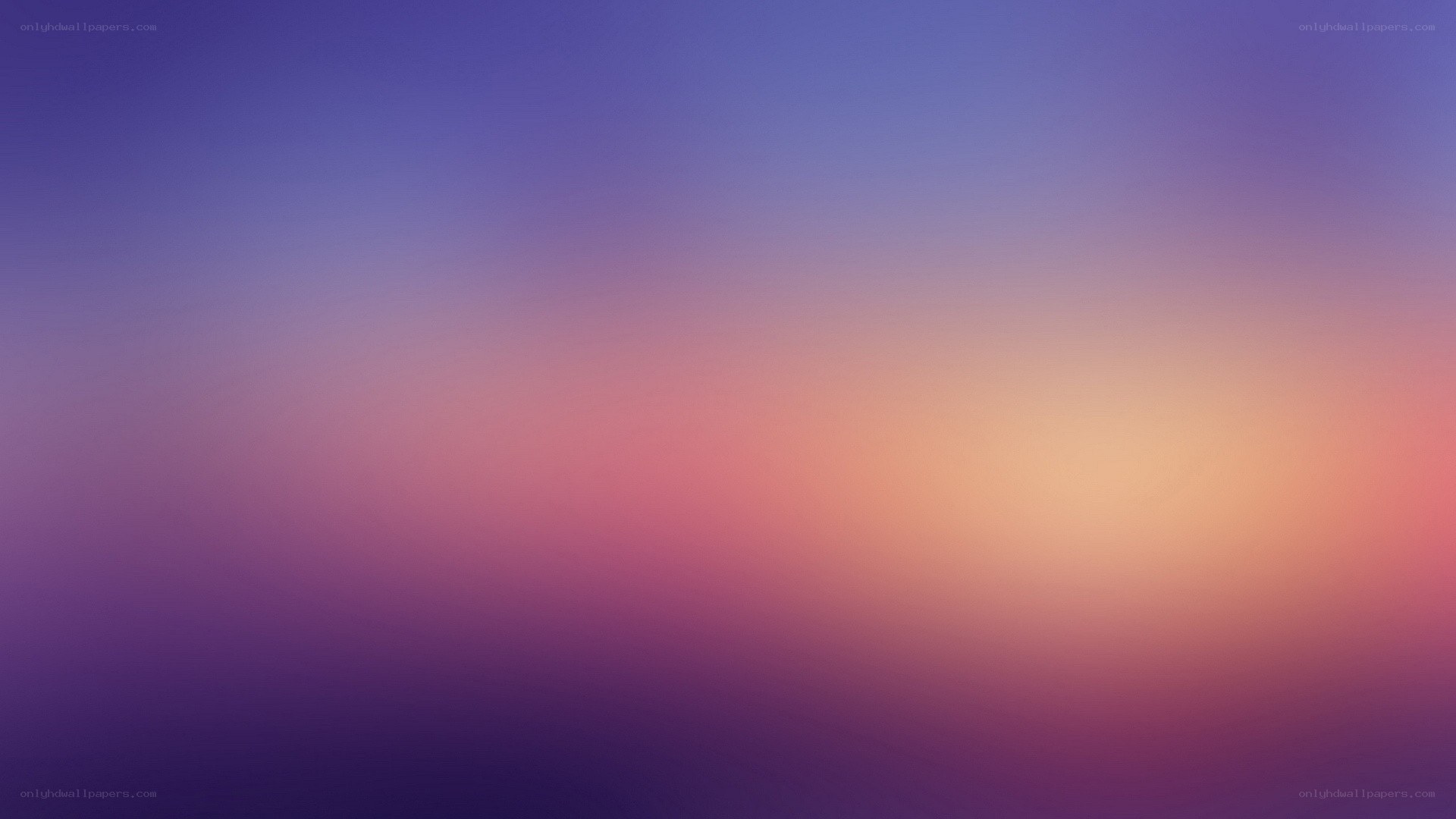 purple and pink gradient