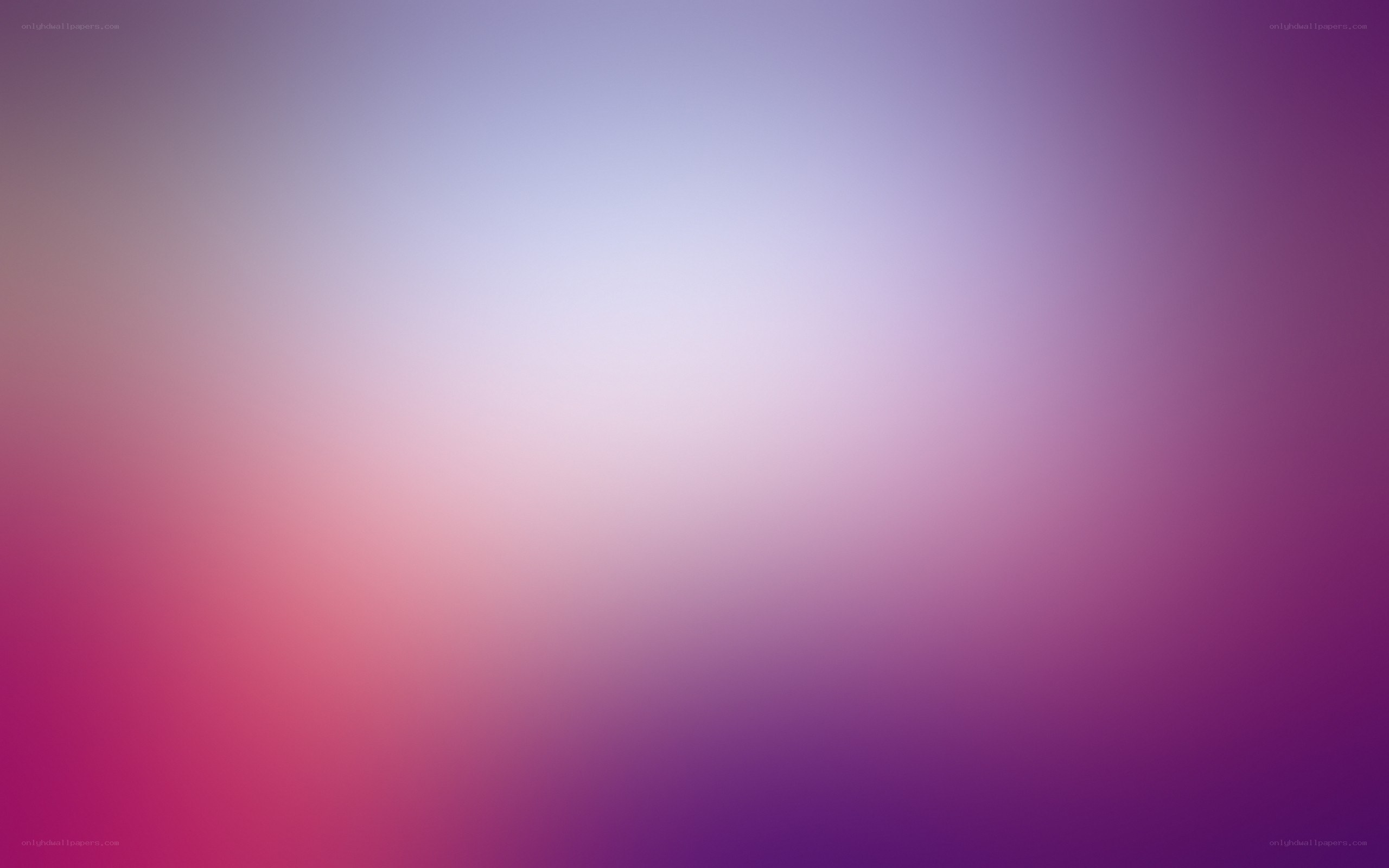 purple and pink gradient