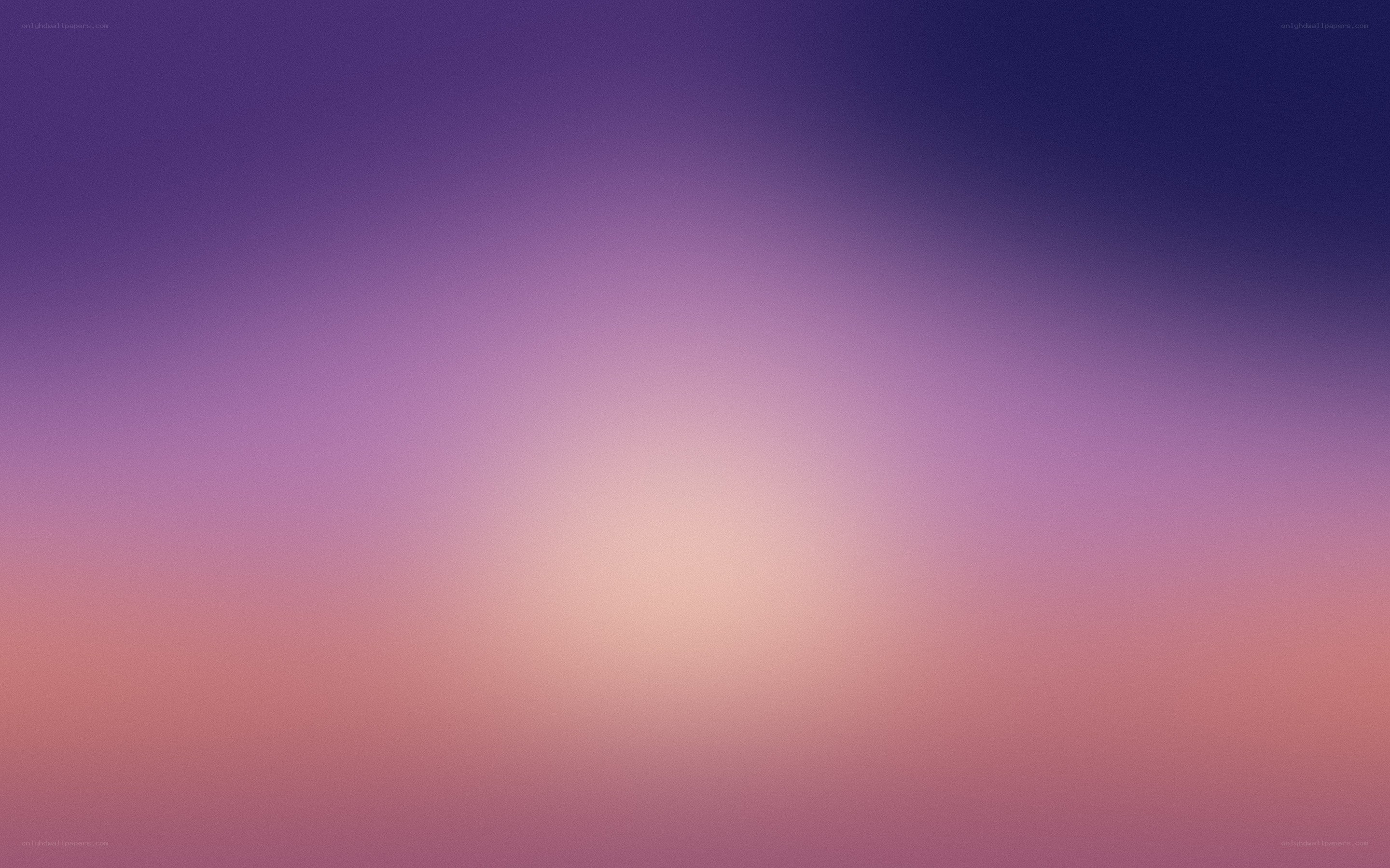 purple and pink gradient