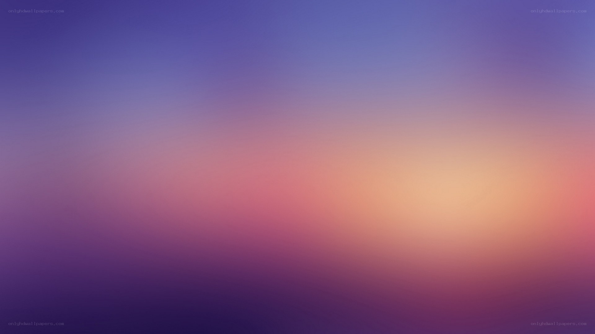 purple and pink gradient