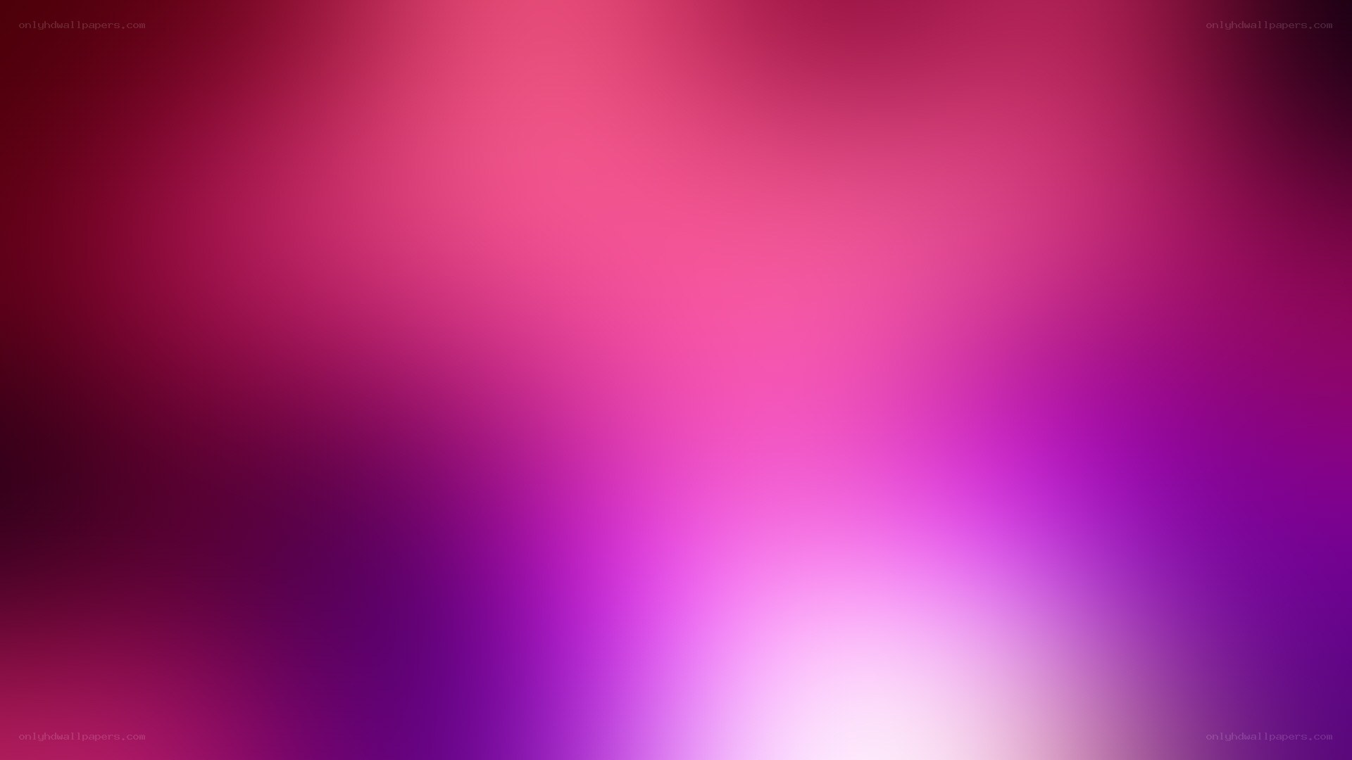 purple and pink gradient