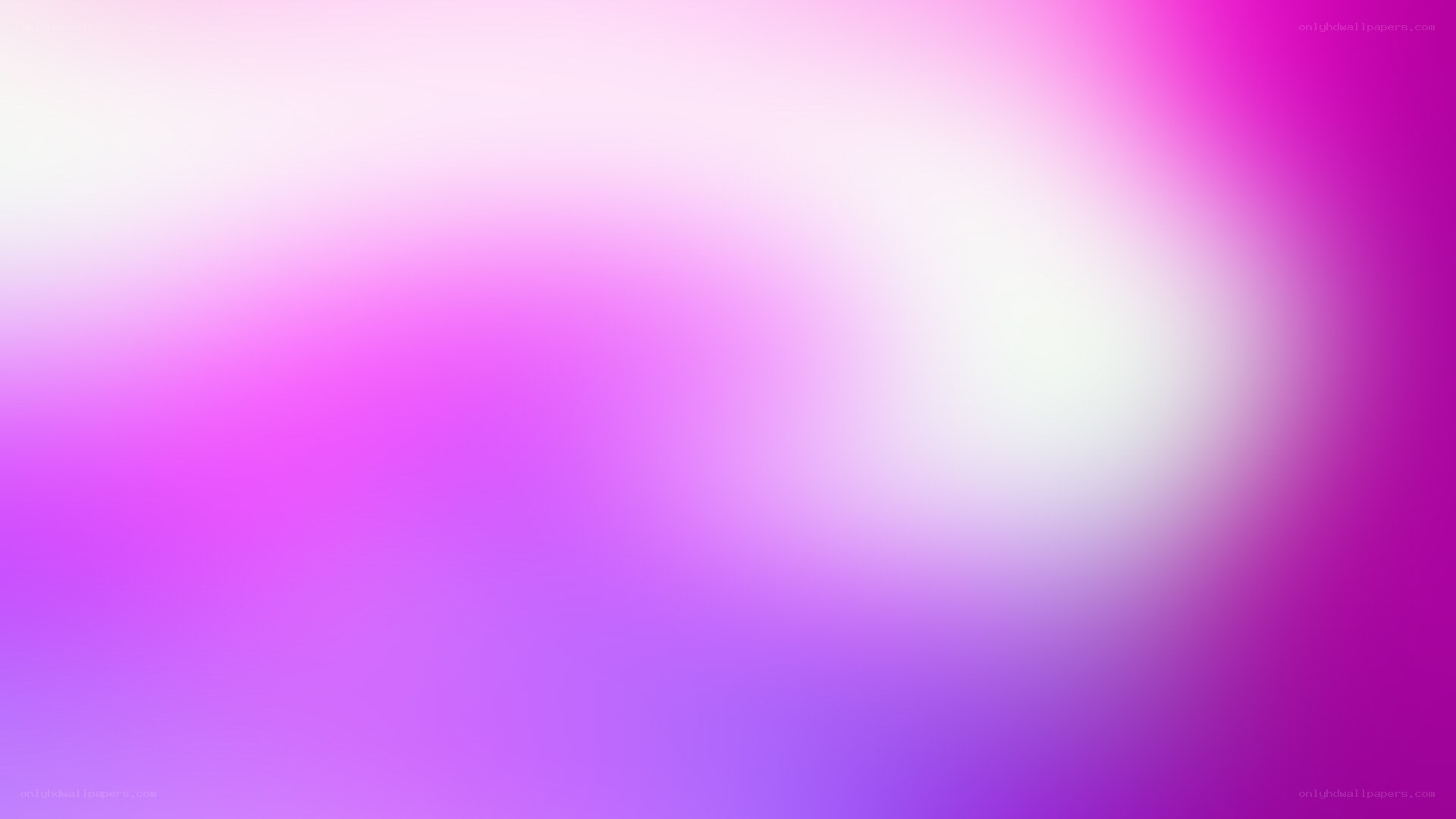 purple and pink gradient