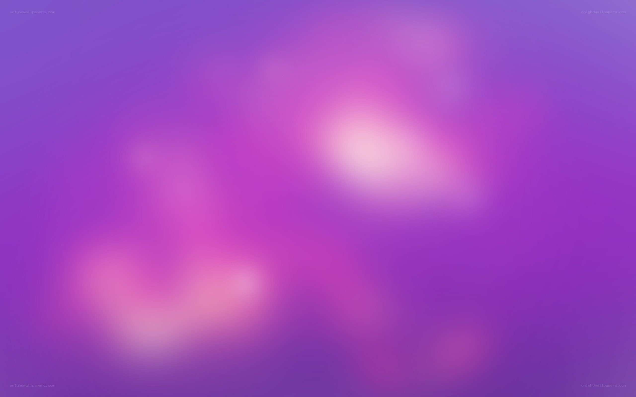 purple and pink gradient