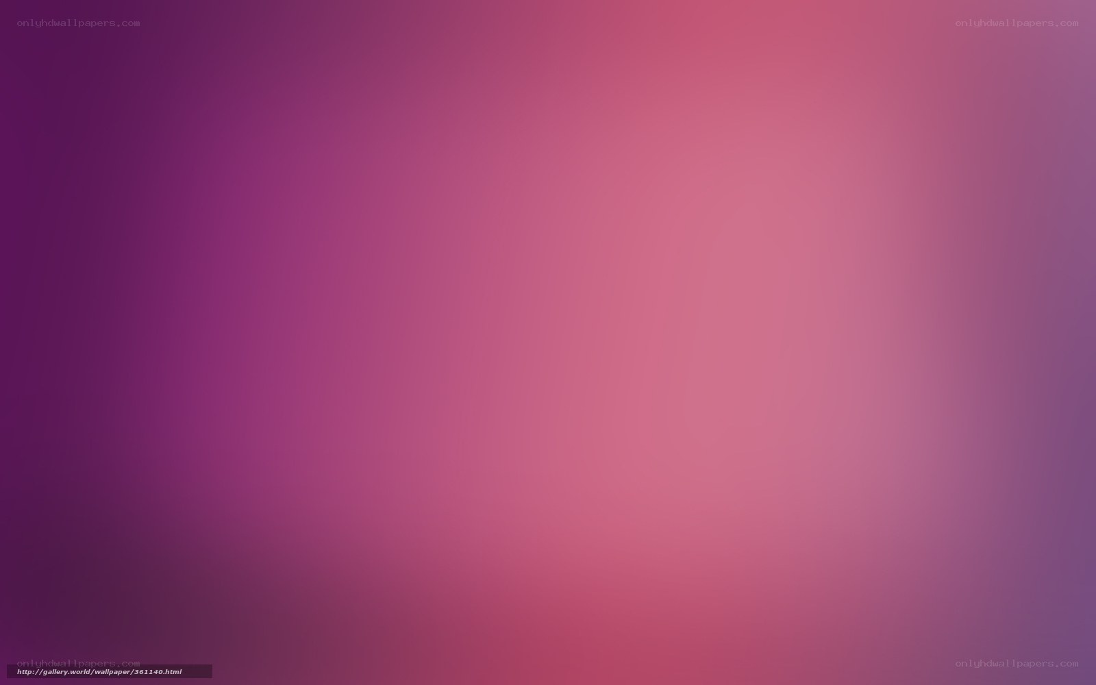 purple and pink gradient