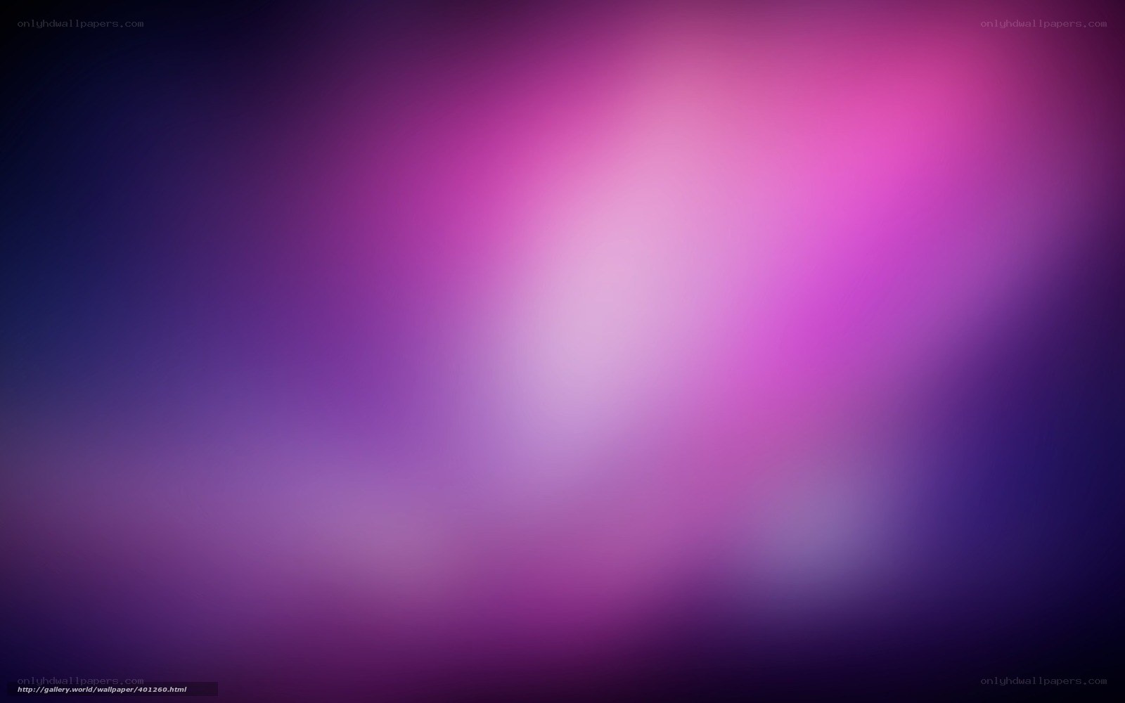 purple and pink gradient