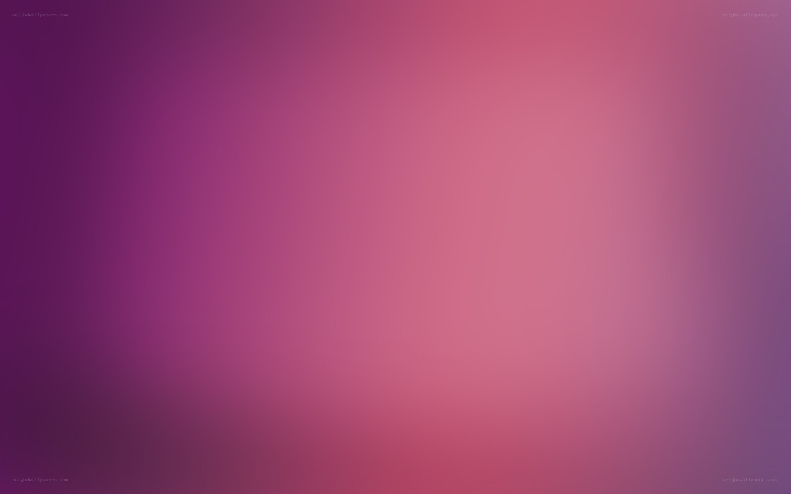 purple and pink gradient