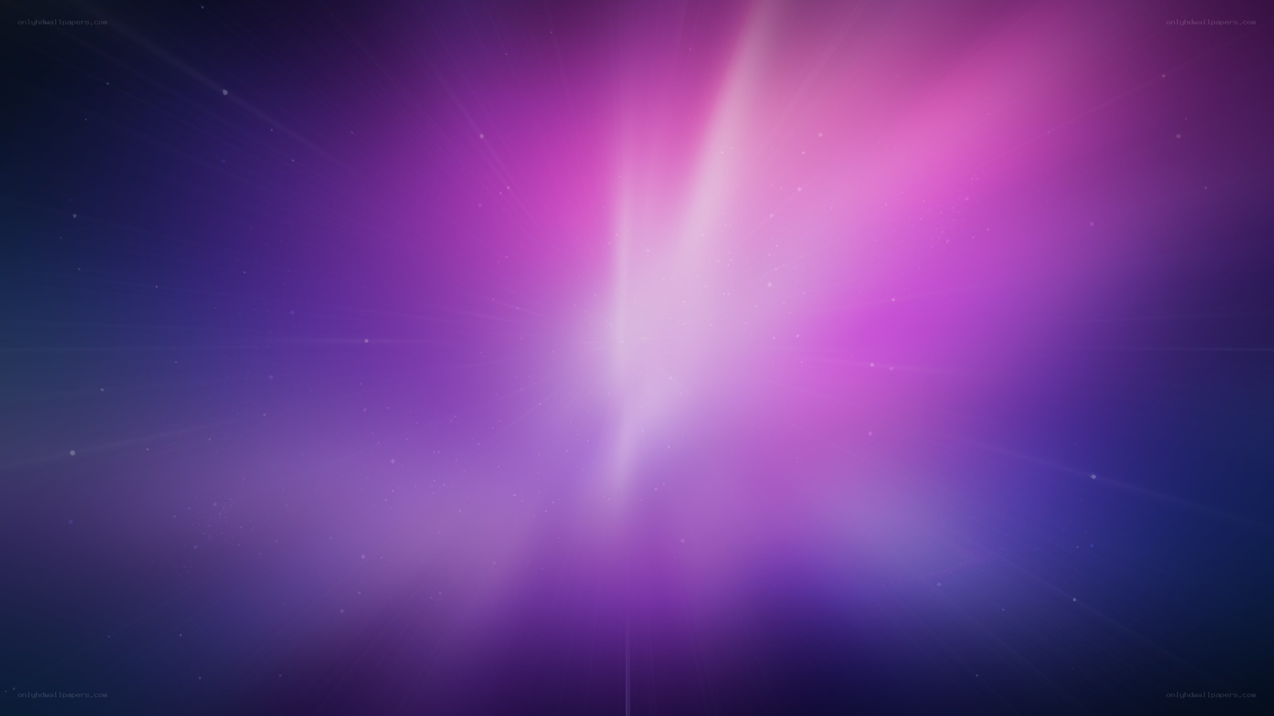 purple and pink light burst