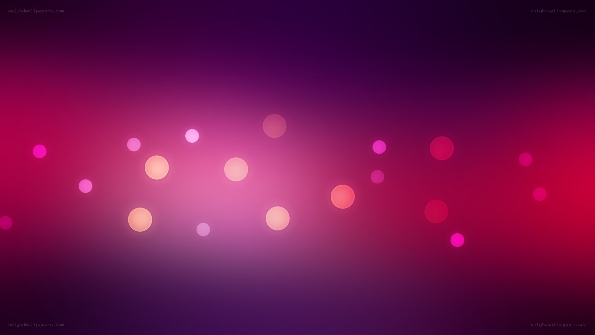 purple and pink light dots