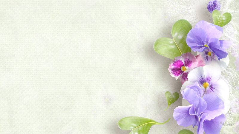 Purple and Pink Pansies — Serene, Digital Art