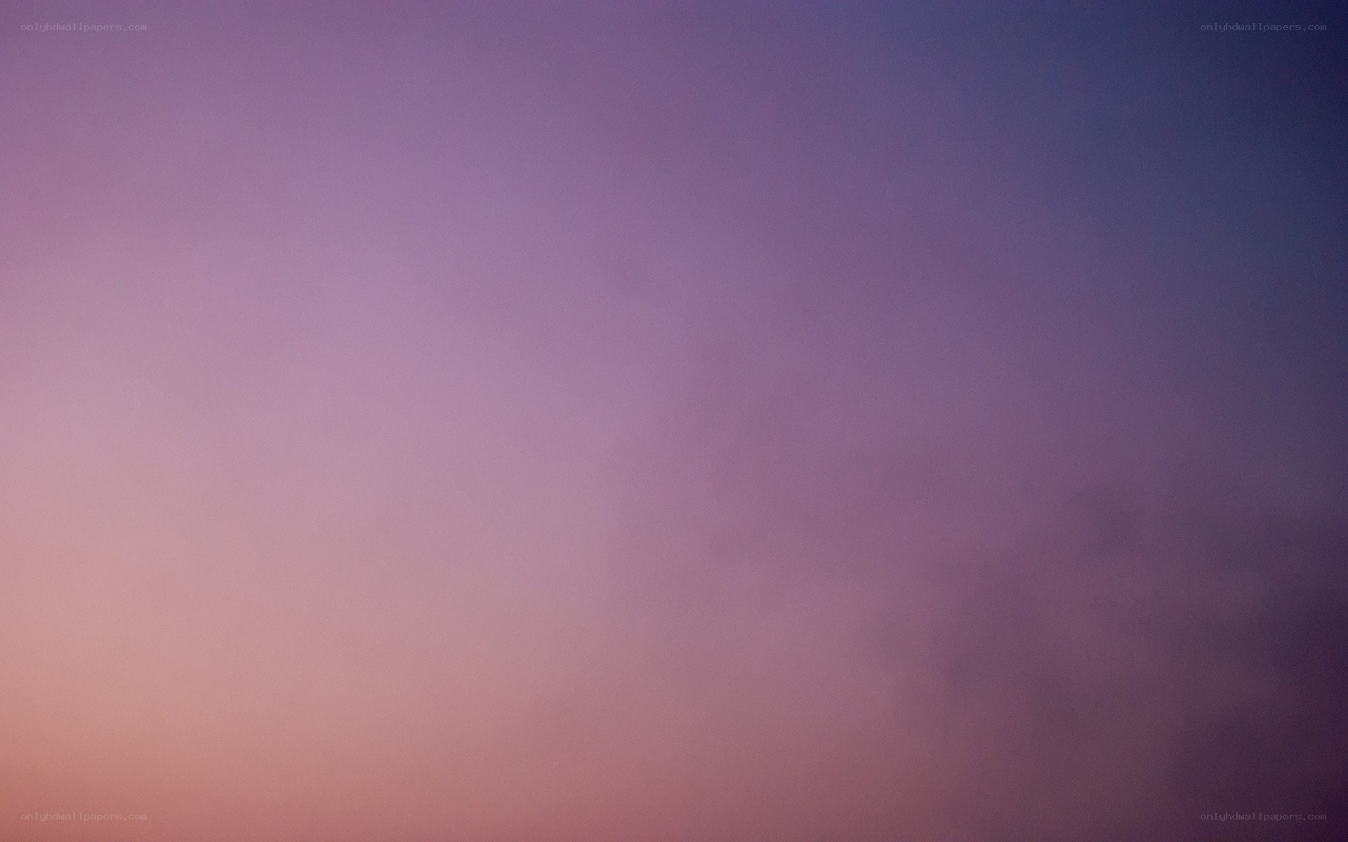 purple and pink sky