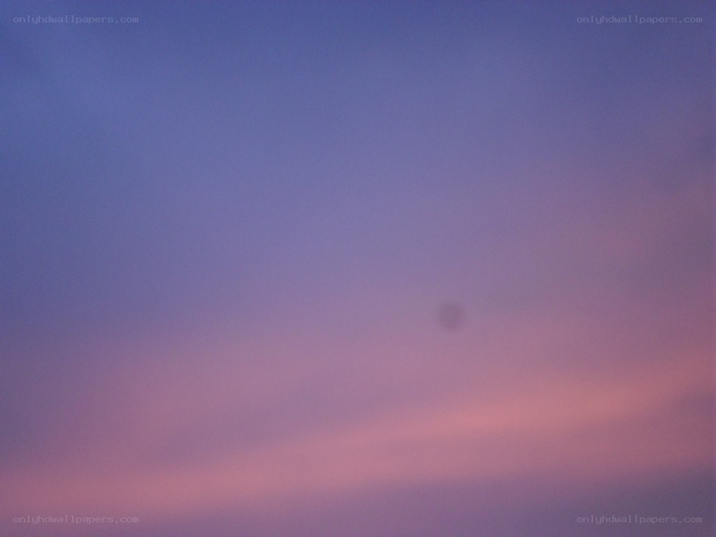 purple and pink sky