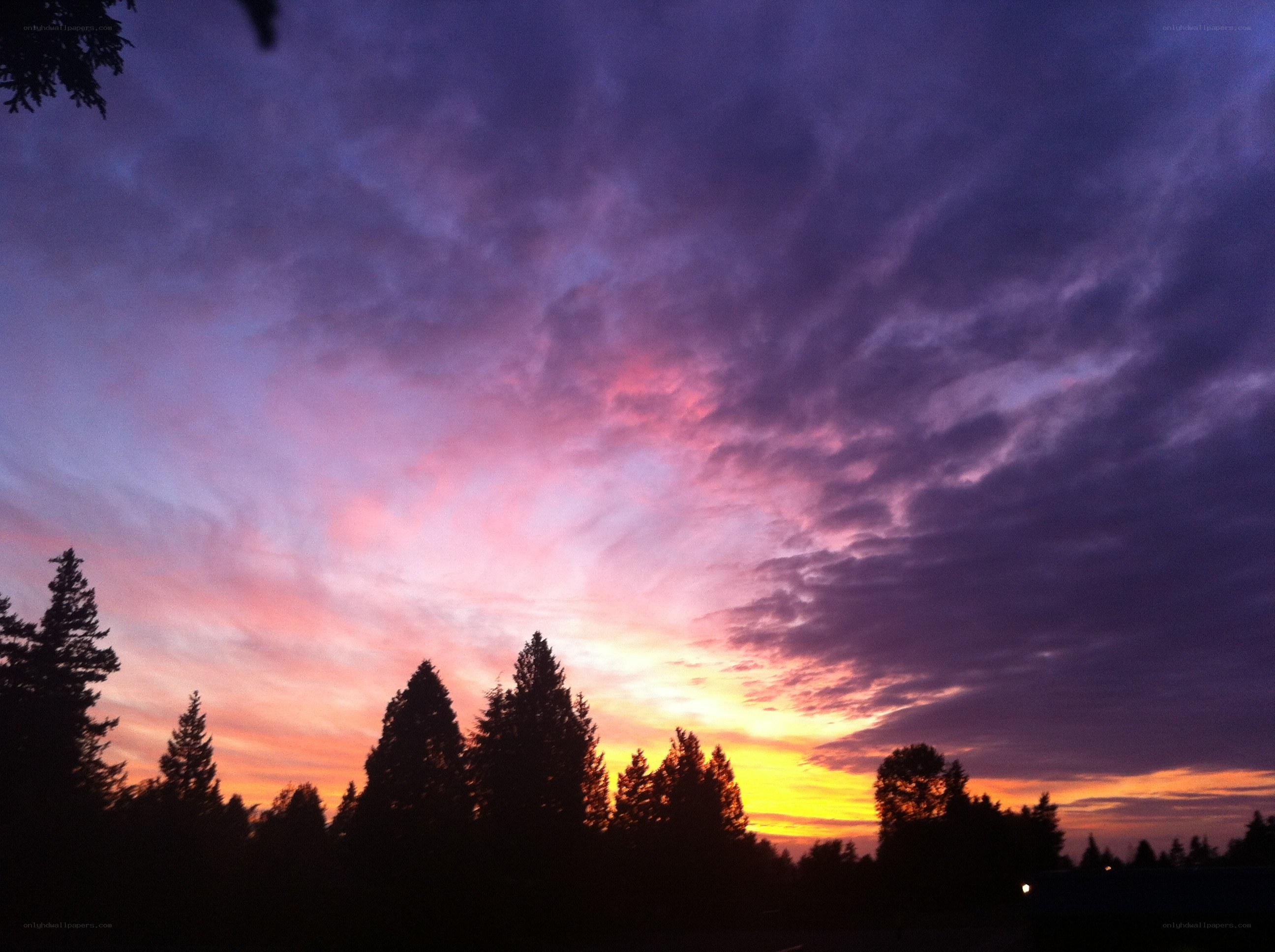 Purple and pink sunset sky