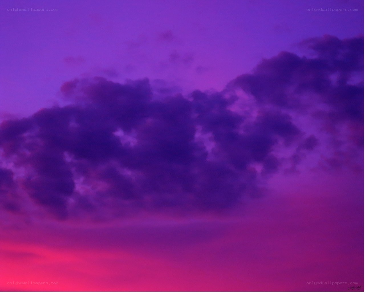 Purple and pink sunset sky