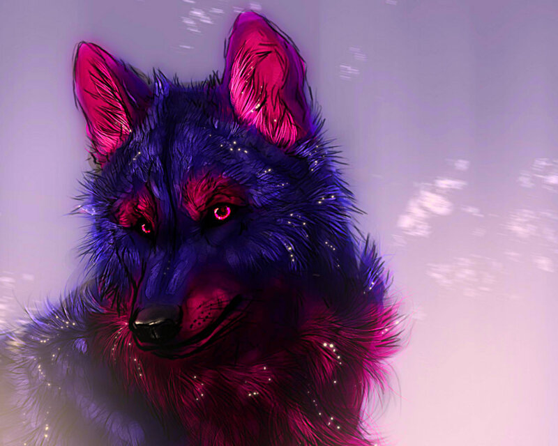 Purple and Pink Wolf