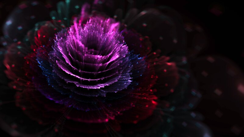 Purple and Red Flower — Dramatic