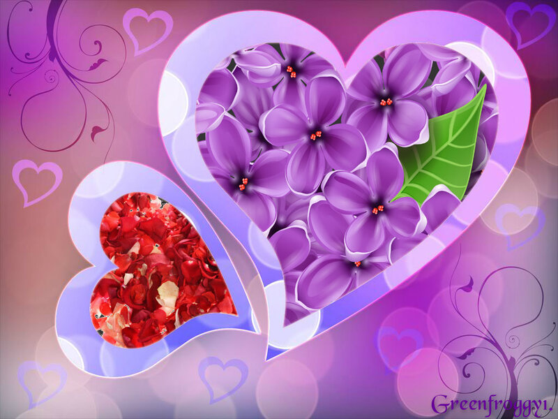 Purple and Red Flowers — Romantic