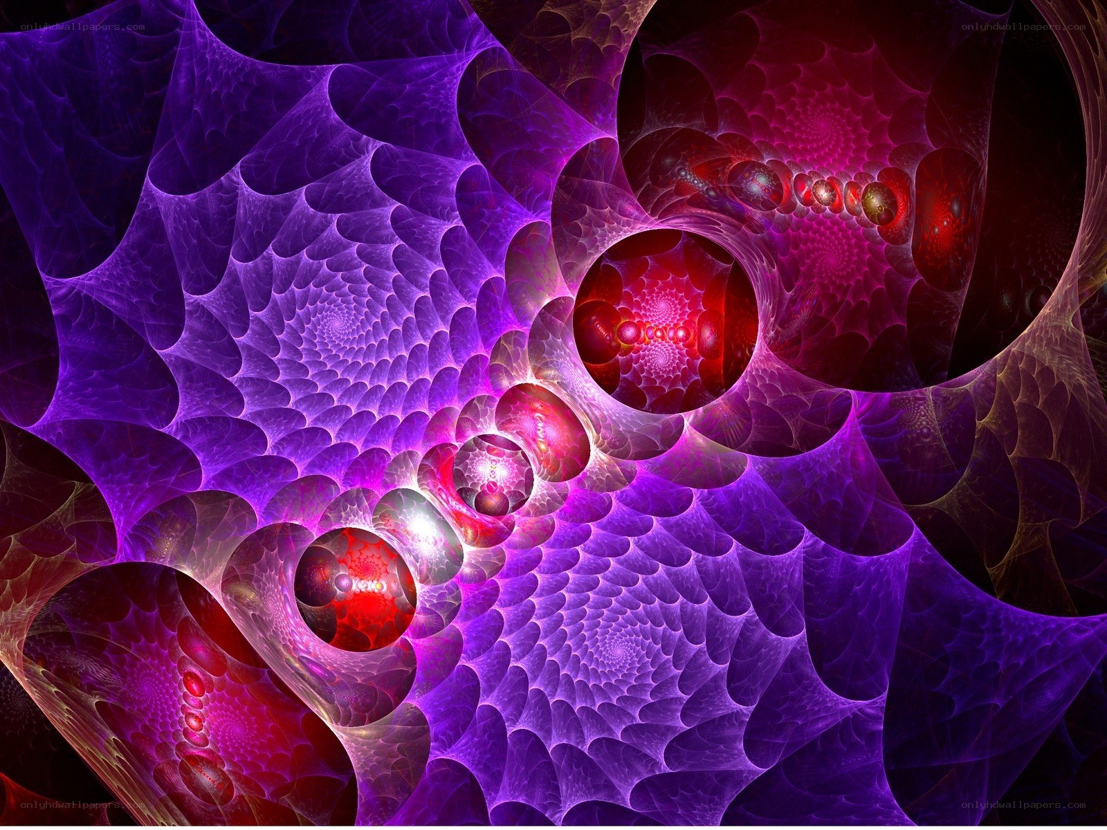 purple and red fractal pattern