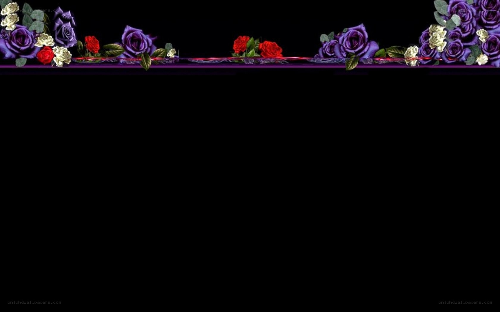 purple and red rose border