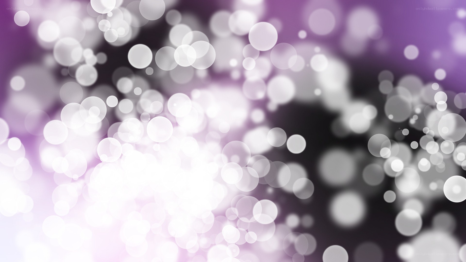 purple and white bokeh lights