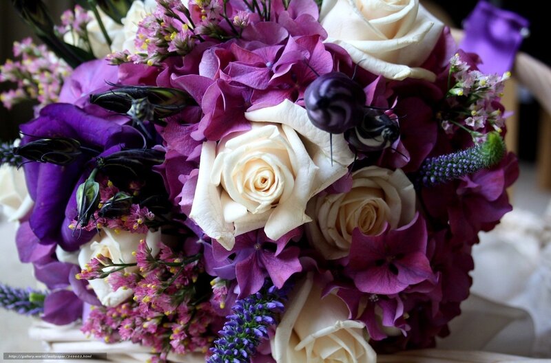 Purple and White Bouquet — Calm, Photograph