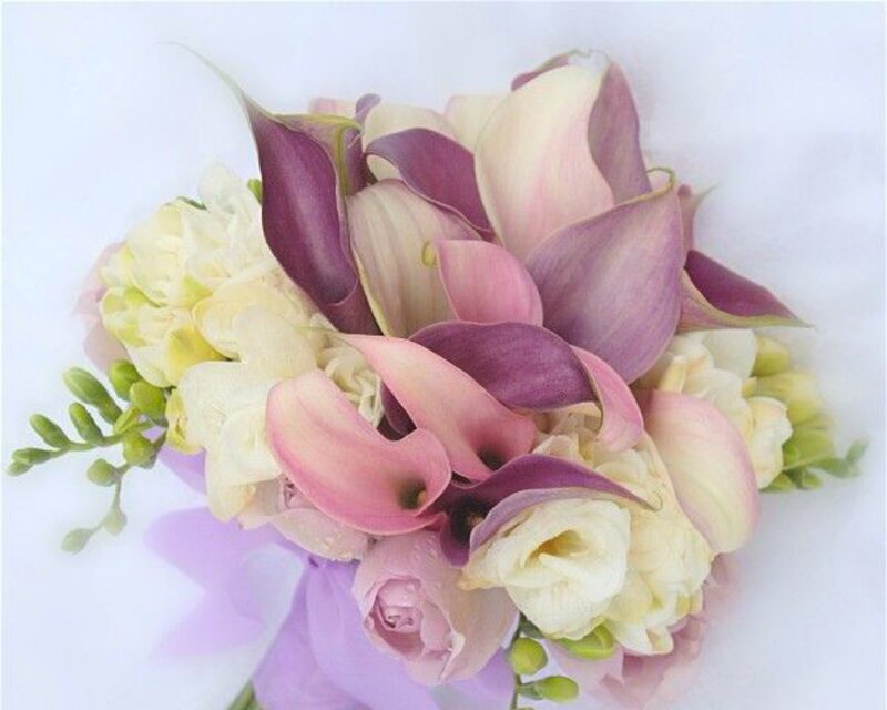 Purple and White Calla Lilies — Serene