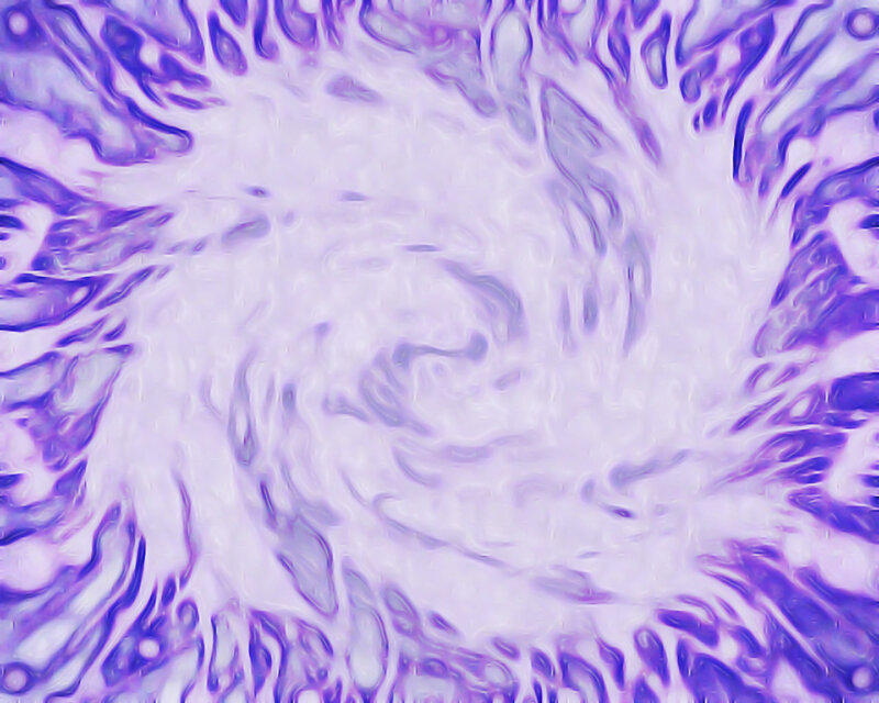 purple and white cellular structure