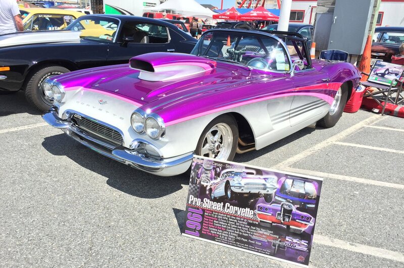 Purple and White Corvette