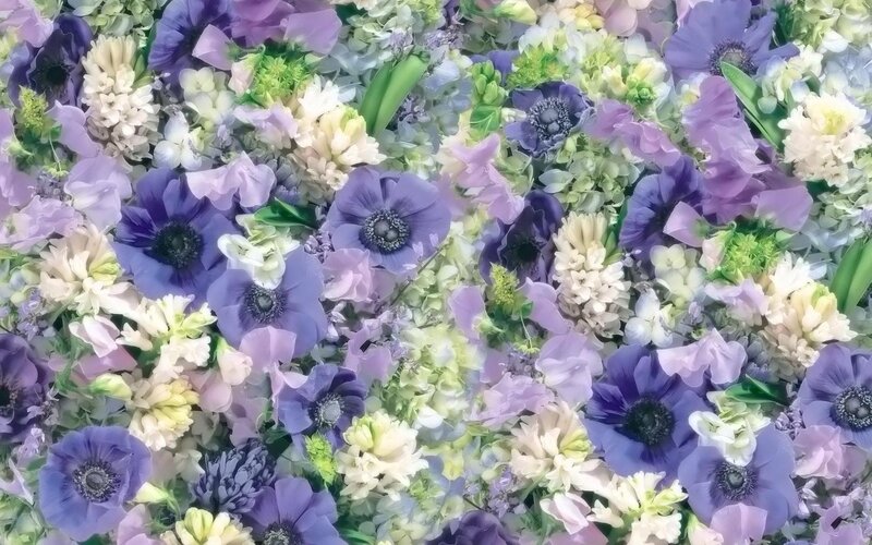 purple and white flower arrangement