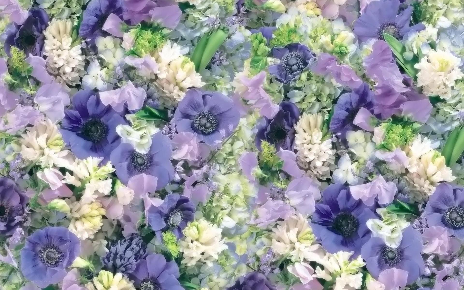 purple and white flower arrangement