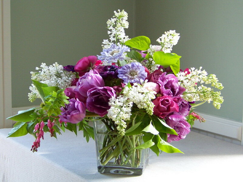 Purple and White Flower Bouquet — Calm, Spring