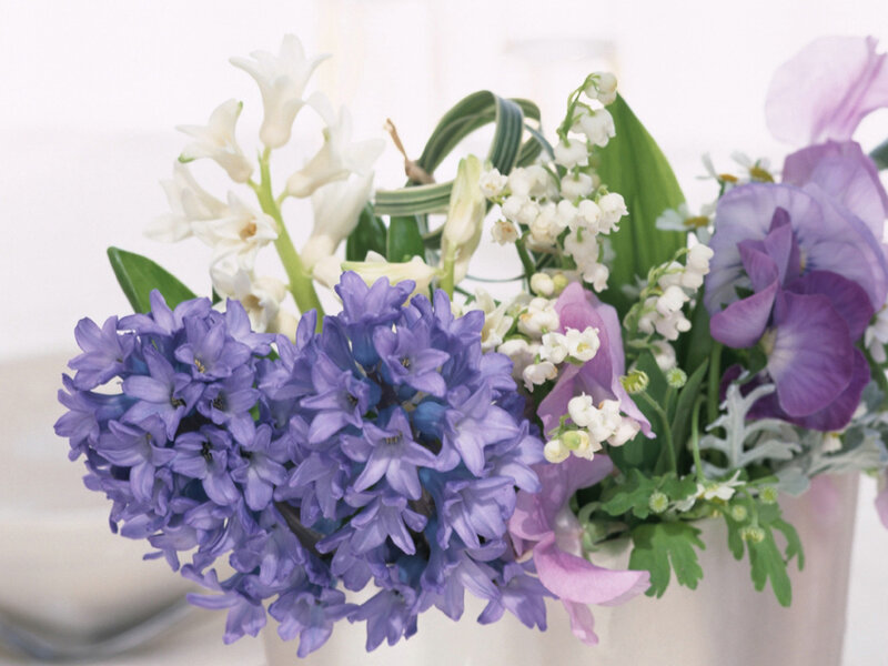 Purple and White Flower Bouquet — Serene