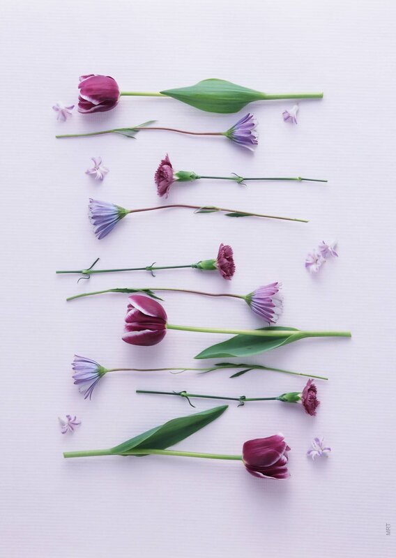 Purple and white flowers arranged