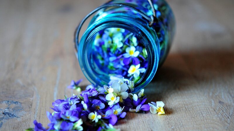 Purple and White Flowers — Blue, Calm, Photograph, Jar
