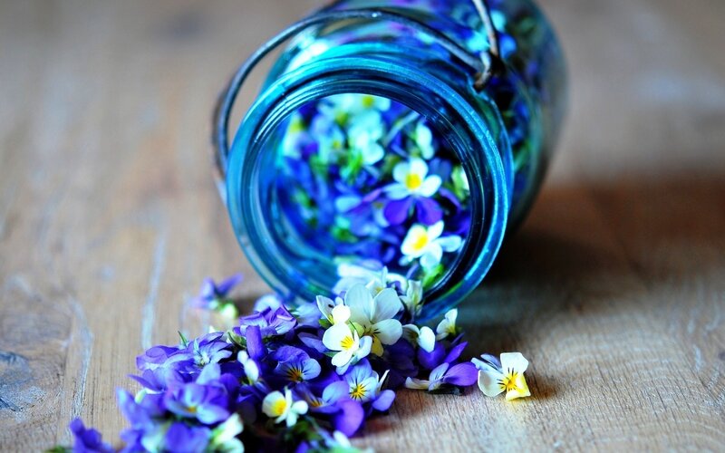 Purple and White Flowers — Blue, Calm
